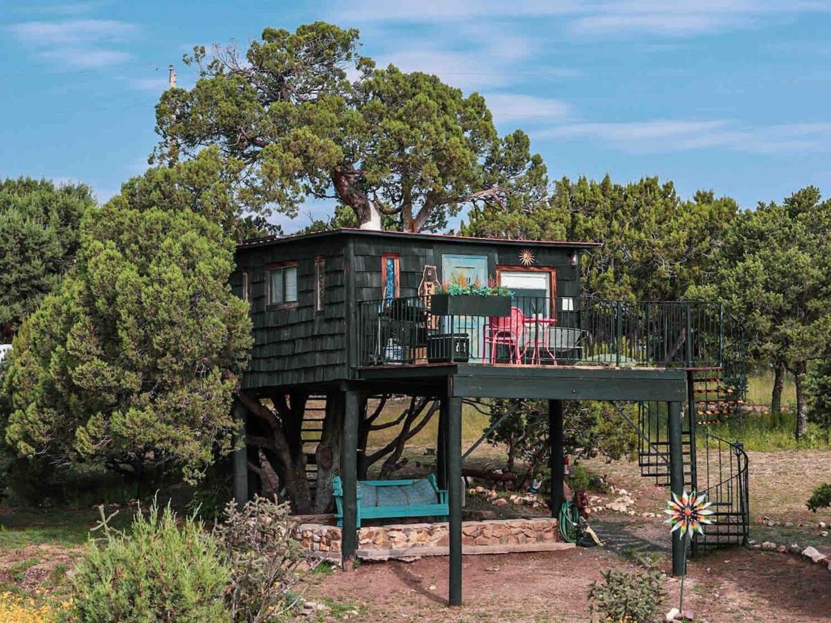 Ashley'S Treehouse At El Mistico Ranch Villa Nogal Eksteriør billede